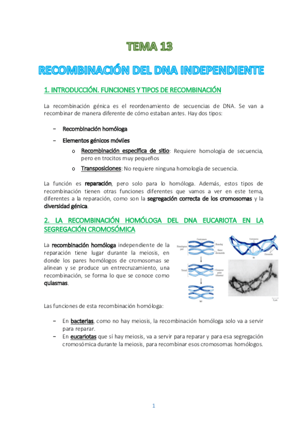 Miniatura del documento Tema-13.pdf