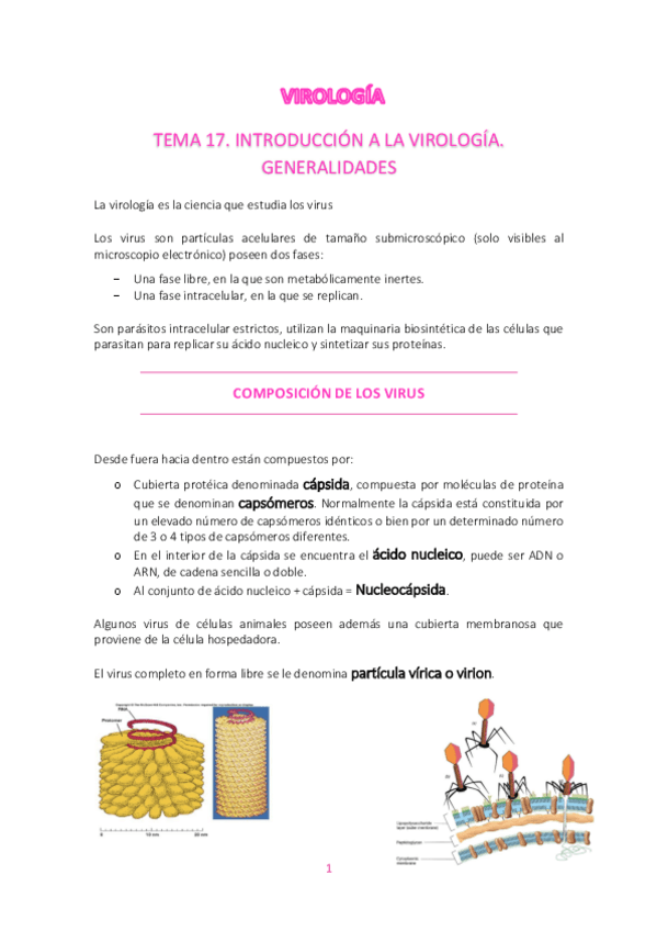 Miniatura del documento VIROLOGIA.pdf