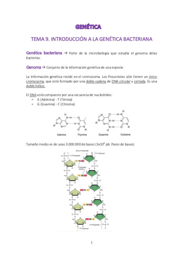 Miniatura del documento GENETICA.pdf