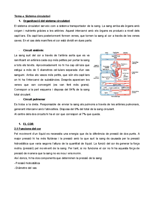 Miniatura del documento Sistema-circulatori-1.pdf