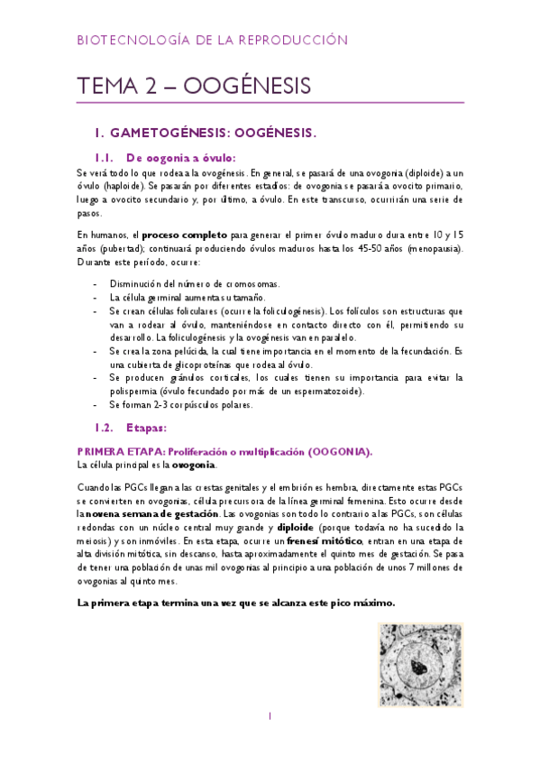 Miniatura del documento Tema-2-pdf.pdf
