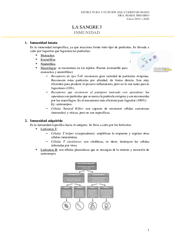 Miniatura del documento La-sangre-3.pdf