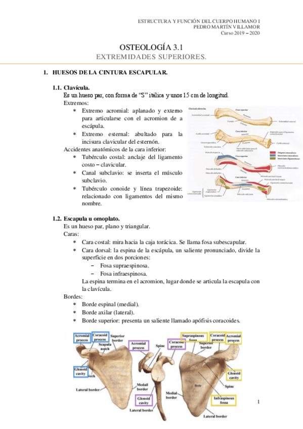 Miniatura del documento 3.pdf