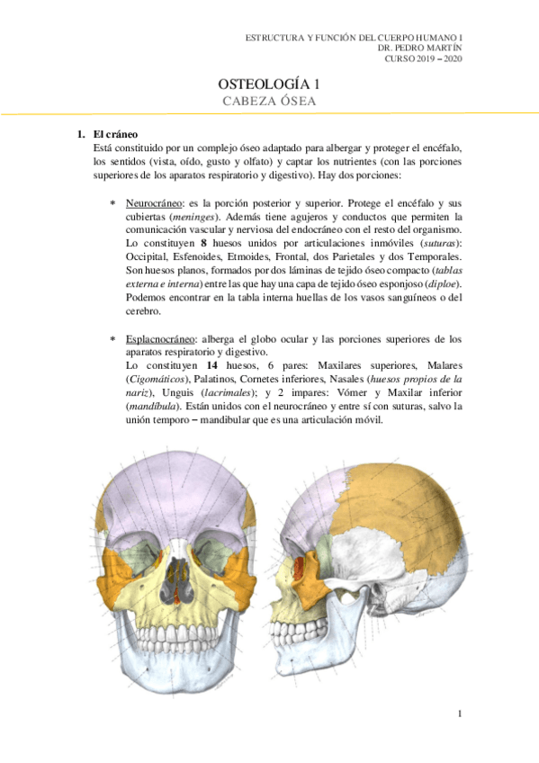 Miniatura del documento 1.pdf