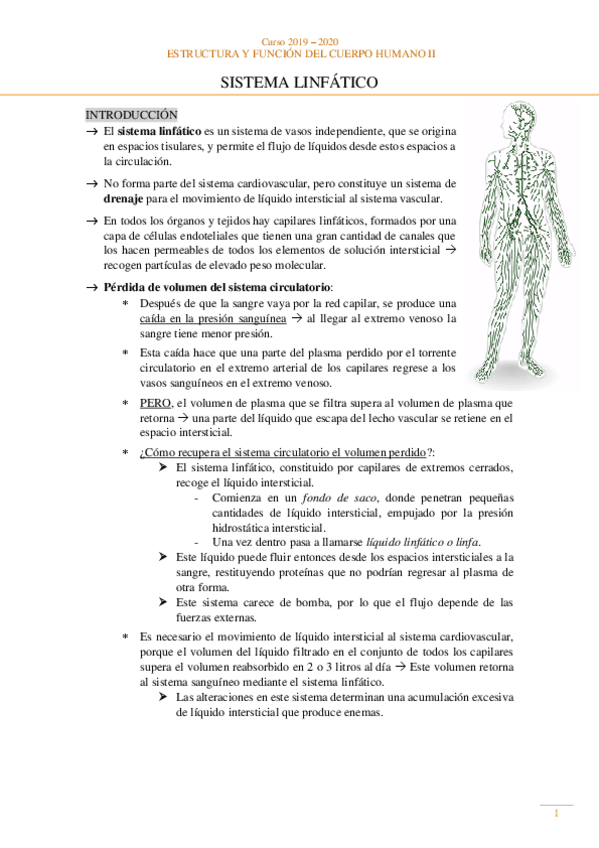 Miniatura del documento Anatomia-Sistema-linfatico.pdf