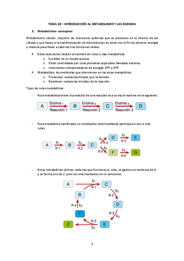 Miniatura del documento Tema-10.pdf