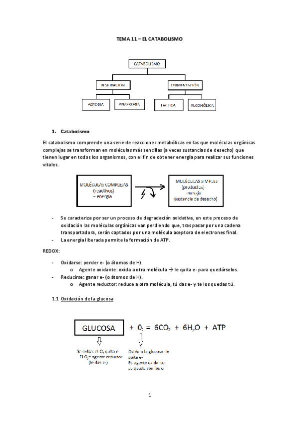 Miniatura del documento Tema-11.pdf