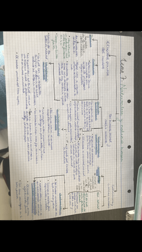 Miniatura del documento 96EF1697-A84D-4627-AC90-741C8921ED0C.png