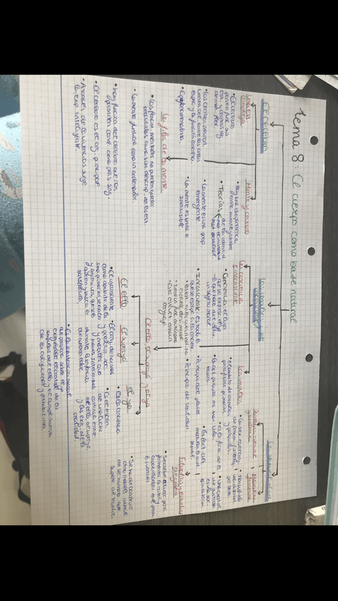Miniatura del documento A78CF754-CD0E-4ACB-A3E3-6E45B006BA07.png