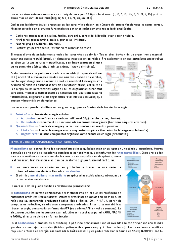 Miniatura del documento T6.pdf