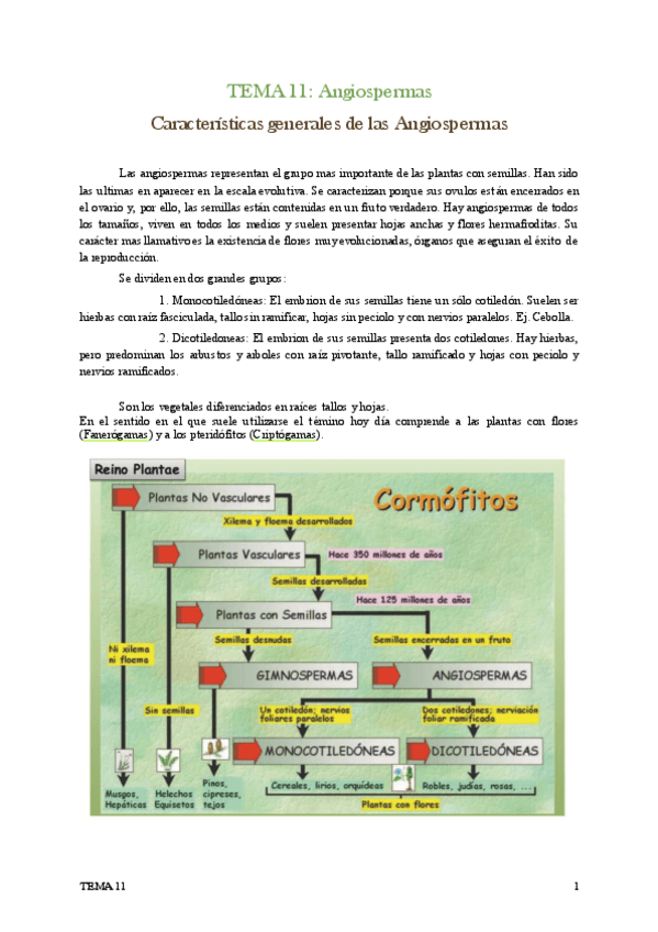 Miniatura del documento TEMA-11.pdf