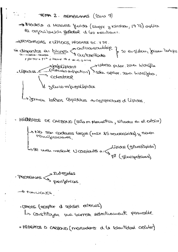 Miniatura del documento tema 2.pdf