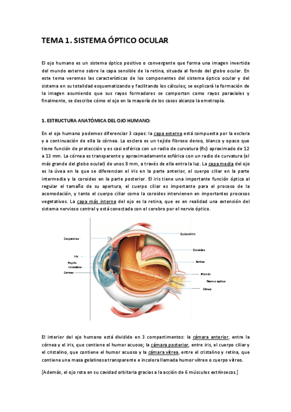 Miniatura del documento TEMA-1.pdf