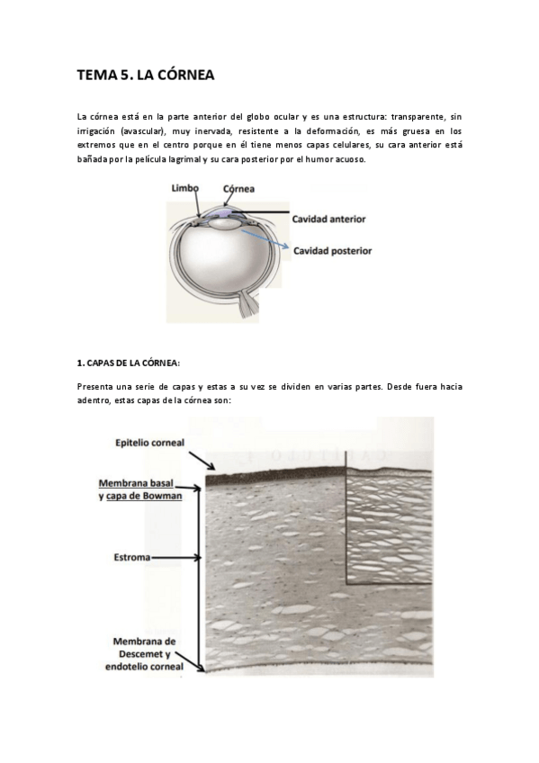 Miniatura del documento TEMA-5.pdf