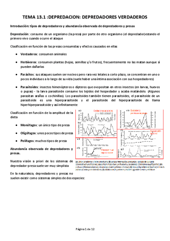 Miniatura del documento TEMA-13.pdf