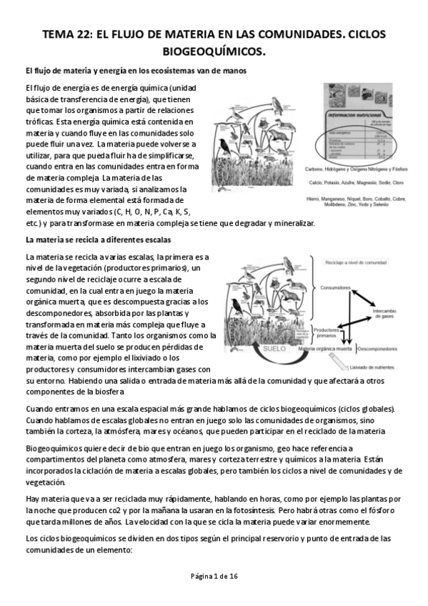 Miniatura del documento TEMA-22.pdf