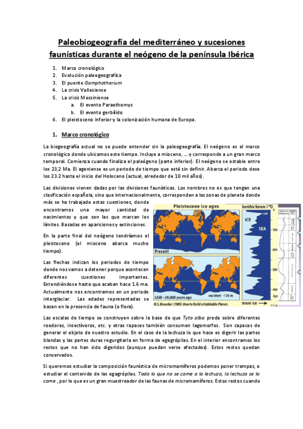 Miniatura del documento NEOGENO.pdf