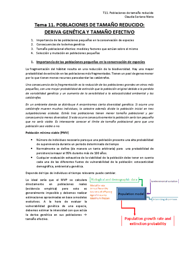 Miniatura del documento T11-BC.pdf