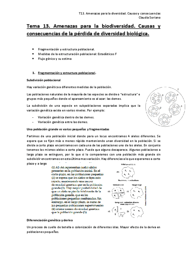 Miniatura del documento T13-BC.pdf