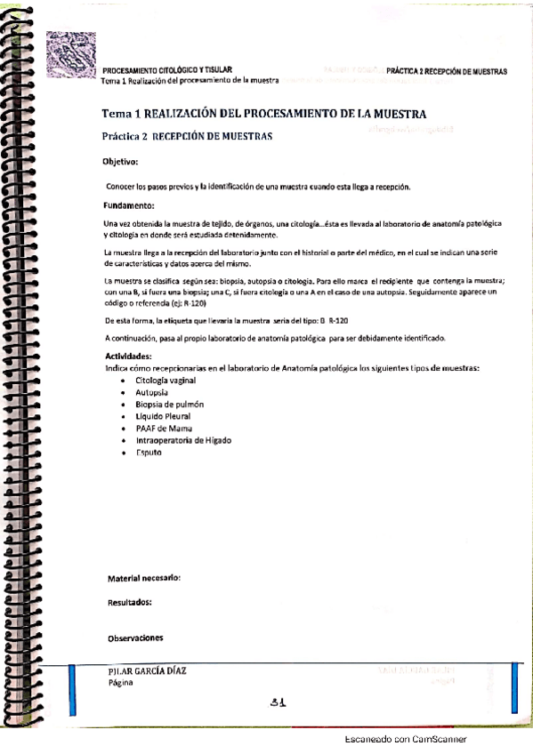 Miniatura del documento p2.pdf