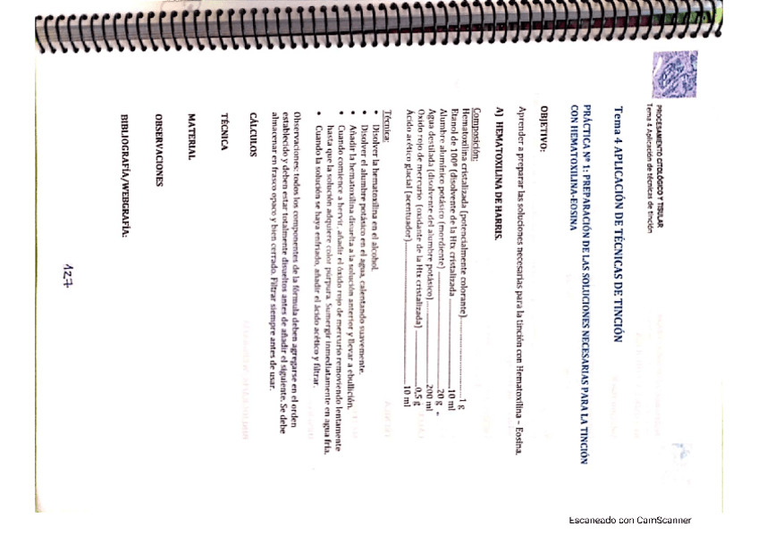 Miniatura del documento p13.pdf