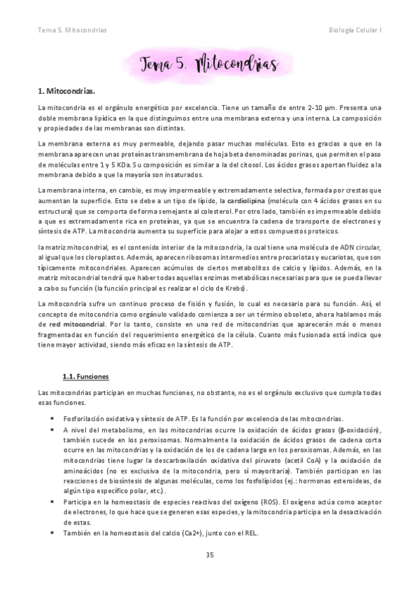 Miniatura del documento Tema-5.pdf