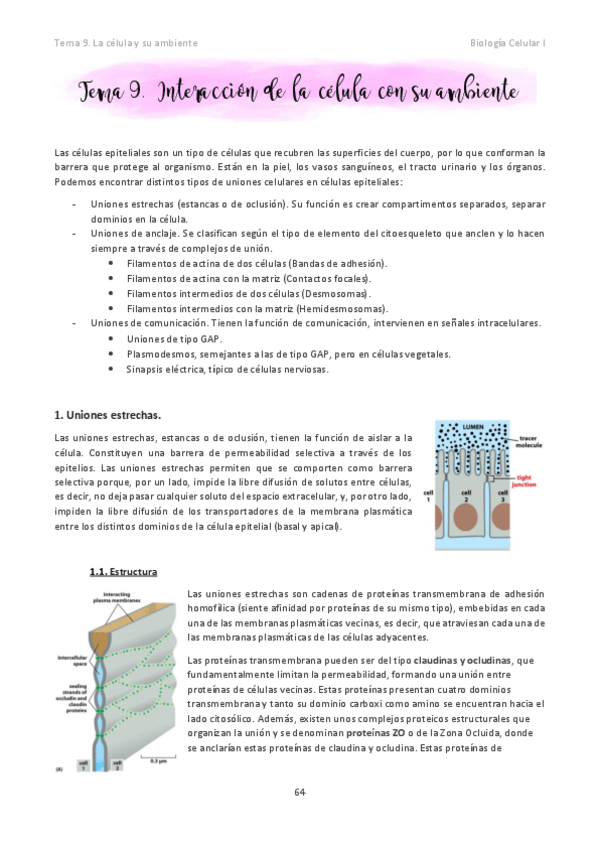 Miniatura del documento Tema-9.pdf