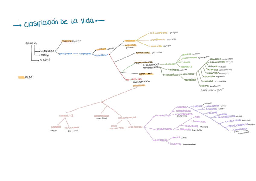 Miniatura del documento Clasificacion-biologica.pdf