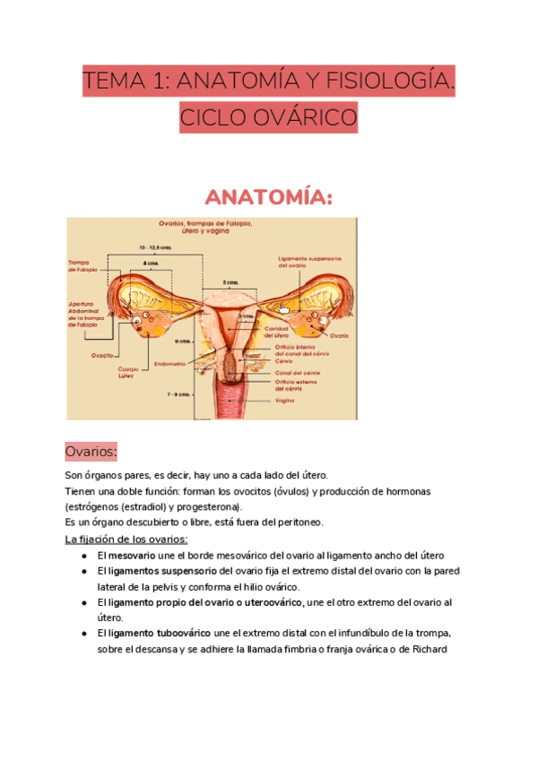 Miniatura del documento TEMA-1-ANATOMIA-Y-FISIOLOGIA.pdf