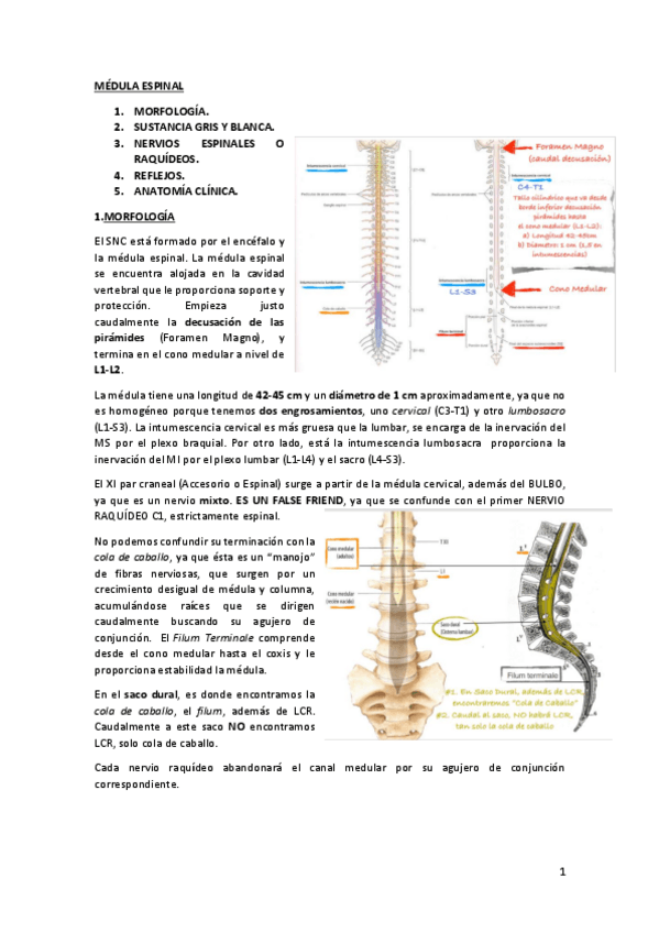 Miniatura del documento tema3.pdf