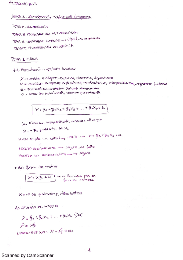 Miniatura del documento TEMA 1 - ECONOMETRIA.pdf