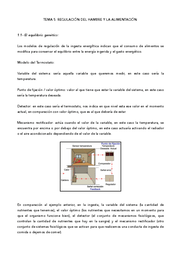 Miniatura del documento Tema-5-P.pdf