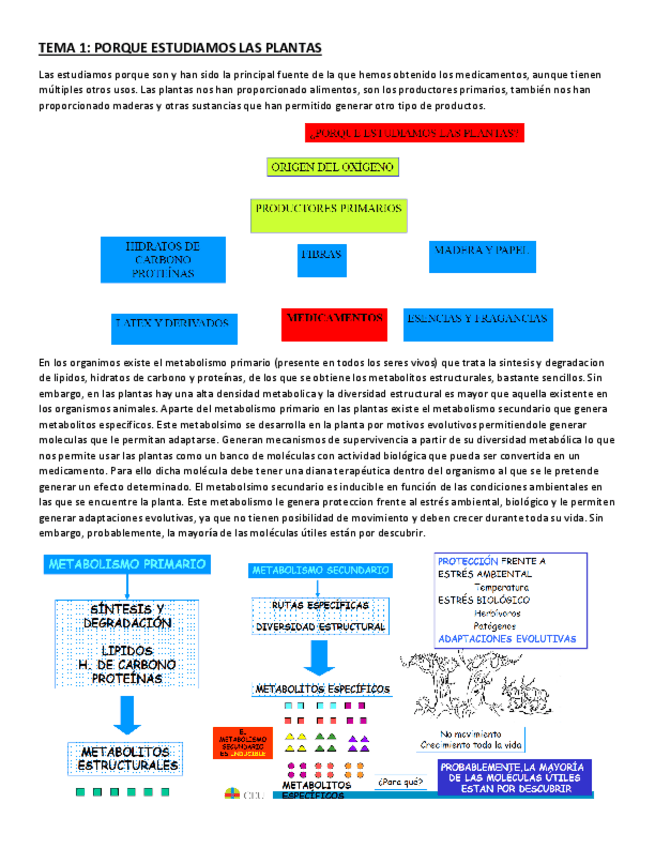 Miniatura del documento TEMA-1.pdf