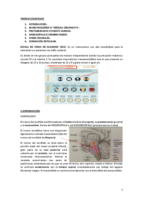 Miniatura del documento tema4.pdf