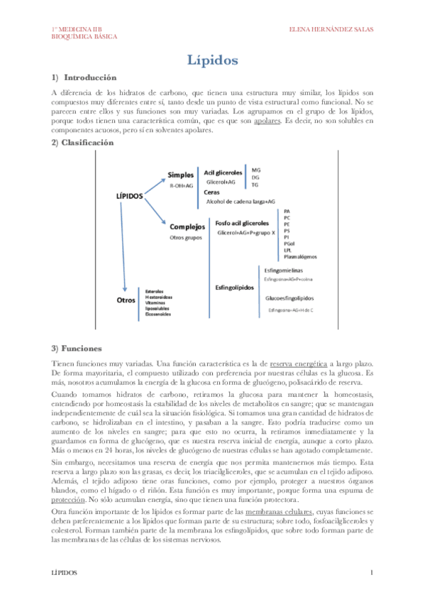 Miniatura del documento Lípidos.pdf