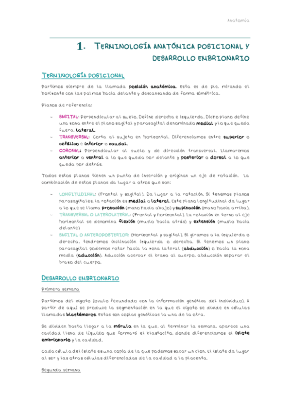 Miniatura del documento Anatomia.pdf