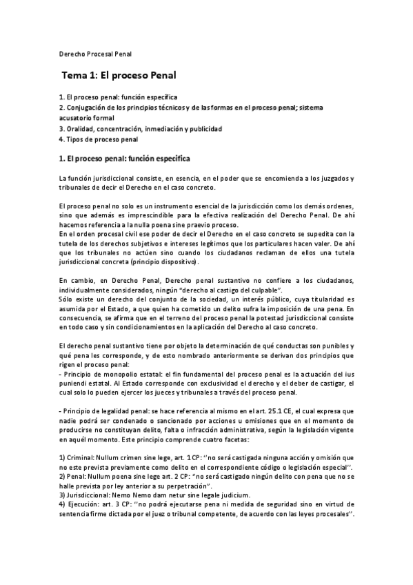 Miniatura del documento TEMA-1.pdf