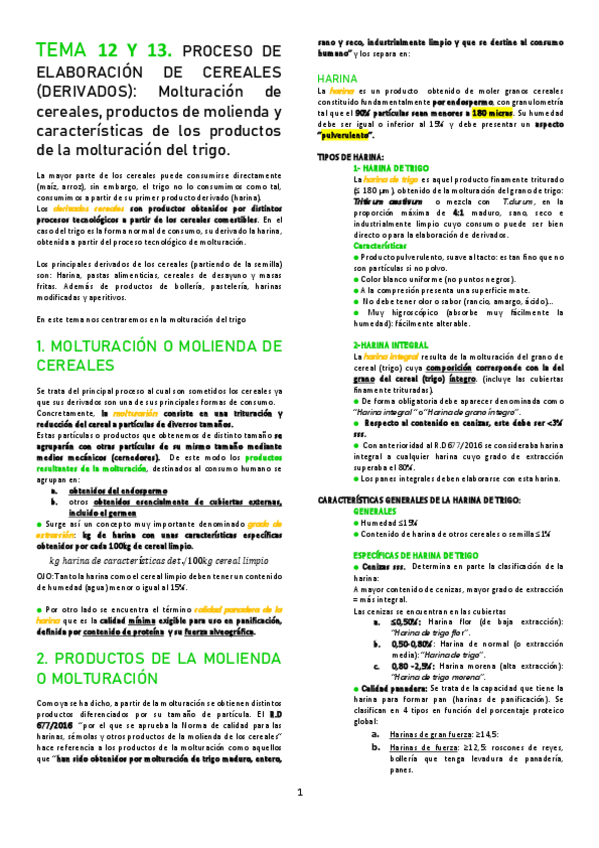 Miniatura del documento T12-Y-T13.pdf