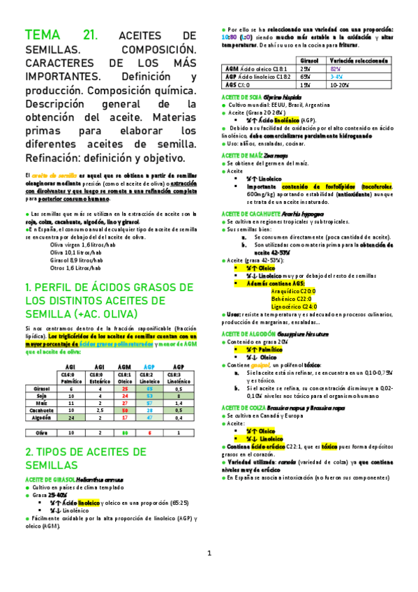 Miniatura del documento T21.pdf