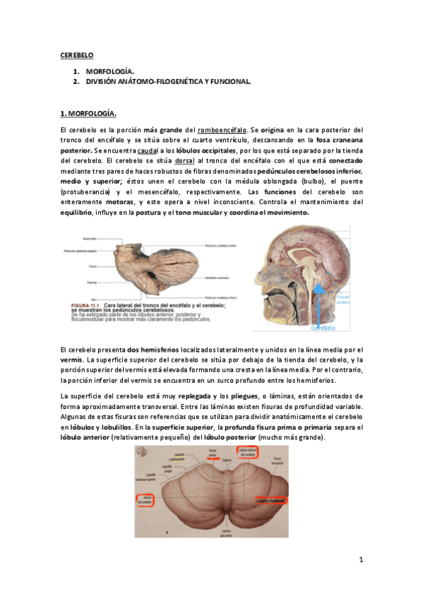 Miniatura del documento tema5.pdf