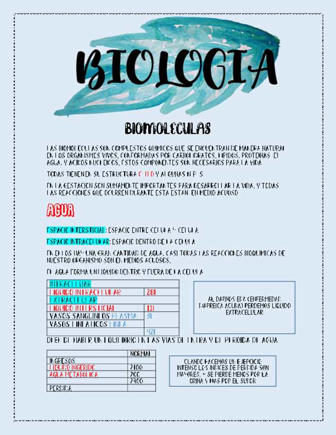 Miniatura del documento Biomoleculas-.pdf