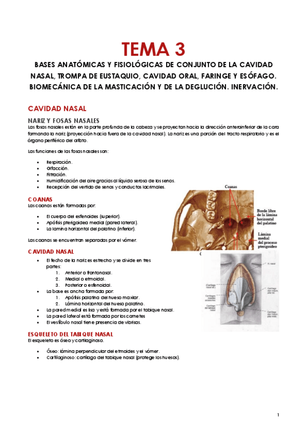 Miniatura del documento Tema-3.pdf