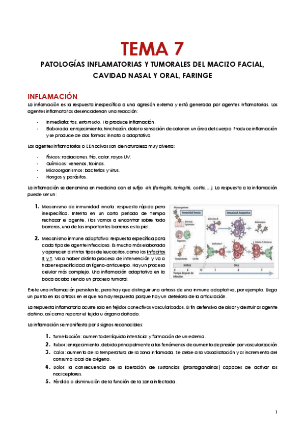 Miniatura del documento Tema-7.pdf