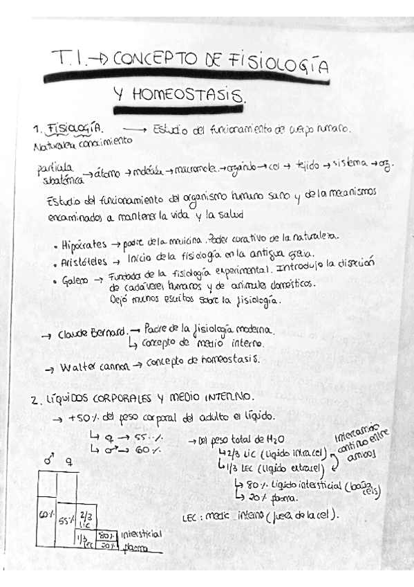 Miniatura del documento T1.pdf