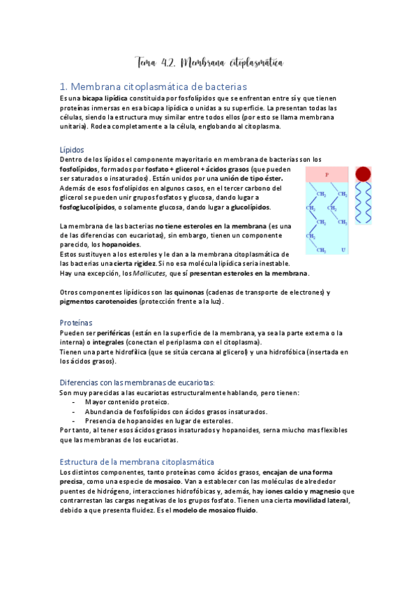 Miniatura del documento Tema-4-2.pdf