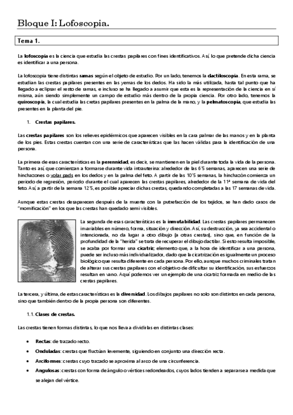 Miniatura del documento bloque-i-lofoscopias.pdf