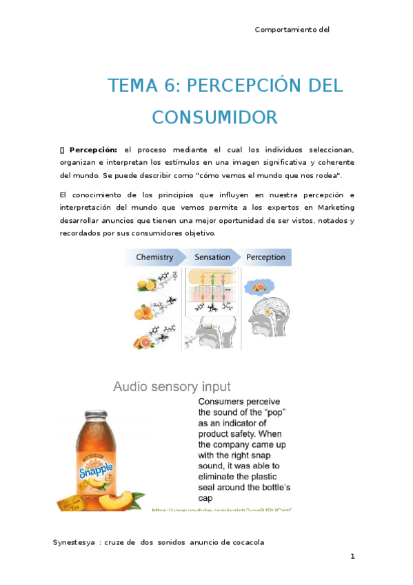 Miniatura del documento TEMA-6.docx