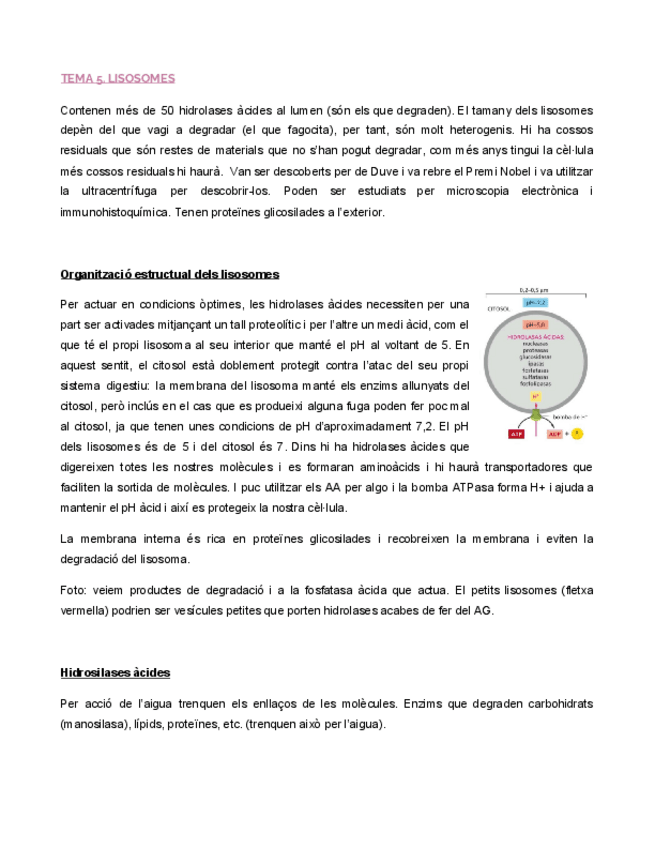 Miniatura del documento LISOSOMES.pdf