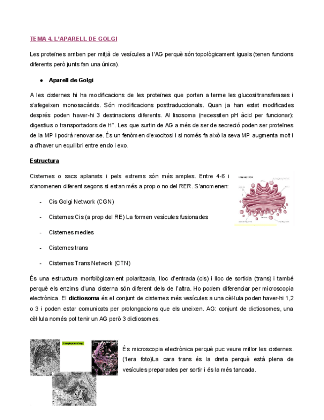 Miniatura del documento APARELL-DE-GOLGI.pdf