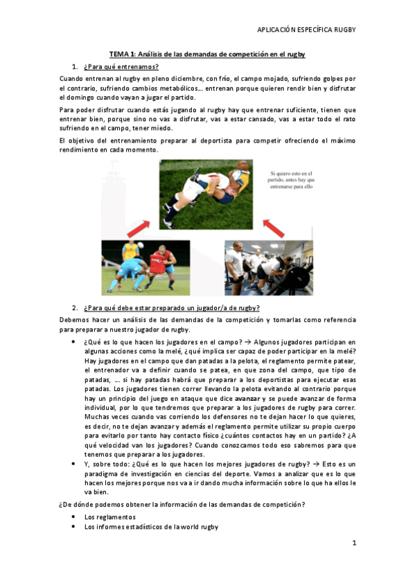 Miniatura del documento TEMA-1-rugby.pdf